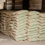 Au Lycée Motema Mpiko, Gentiny Ngobila pose un acte présent qui façonne les élites de demain et d’après-demain