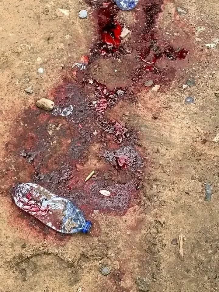 FB_IMG_1776100089818